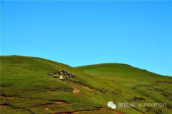 云南纳木错国家公园,云南昆明发现一个超大好玩的公园