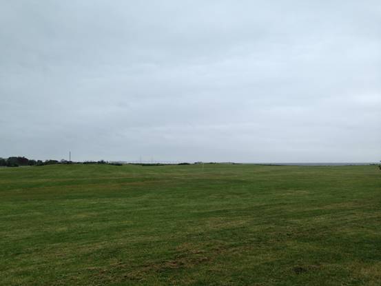 施华洛世奇白天鹅10年,马尔默全集完整版