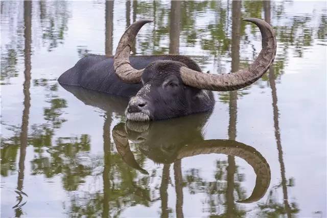 棕榈滩美景,棕榈滩沙滩