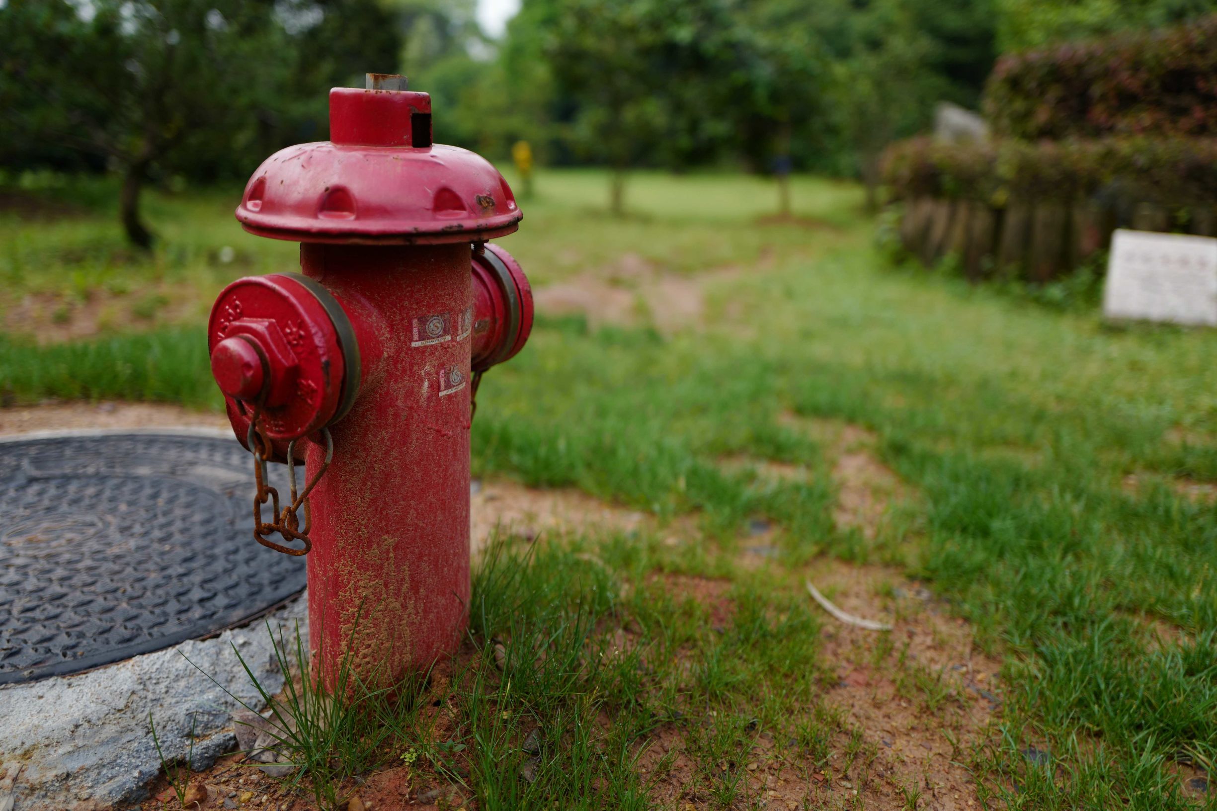 这才是德味-LeicaQ一个月使用报告