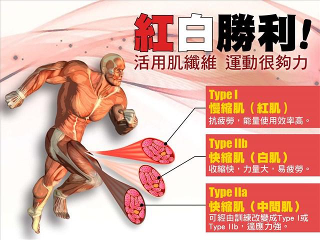 新手健身必须要知道的几件事,新手健身记住下面六条知识