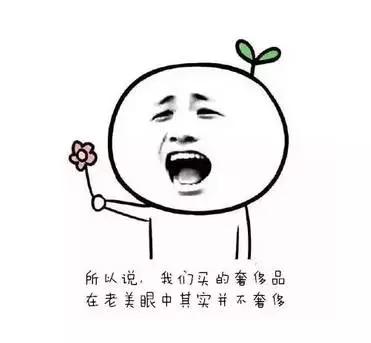 大街上遍地都是奢侈品,你以为的奢侈品爱马仕