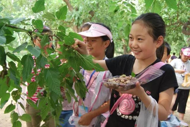 山东德百温泉旅游小镇,山东德州德百温泉度假村