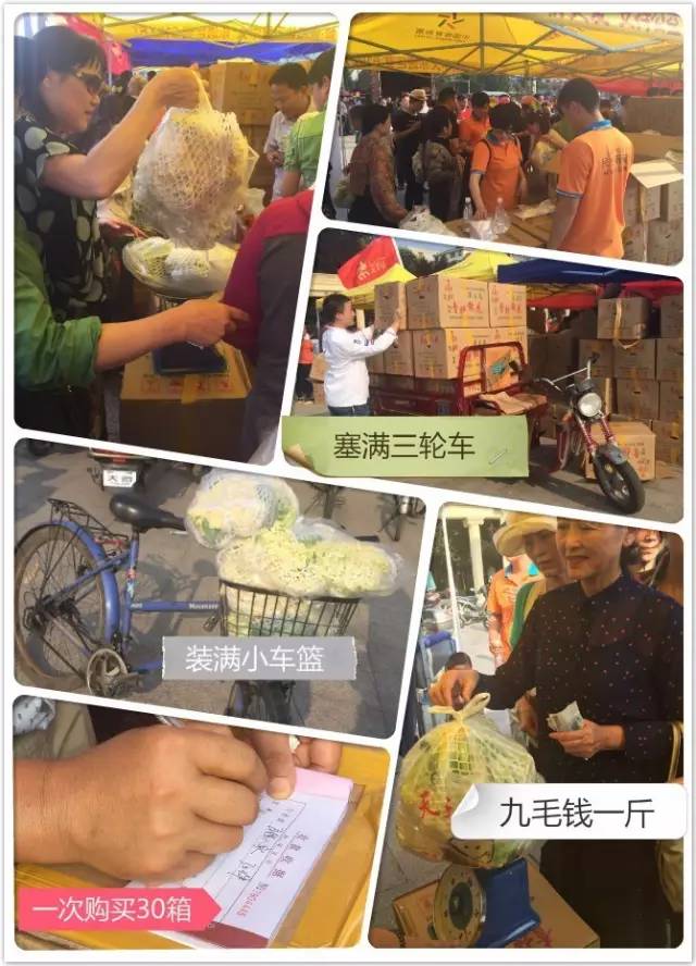 直播信阳大事件:40分钟销售两万斤!帮女郎~棒棒哒!