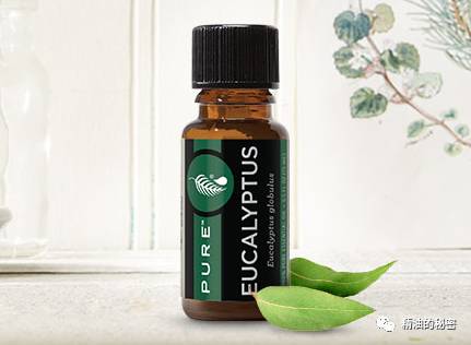 美乐家生姜精油的功效与作用,美乐家精油大全