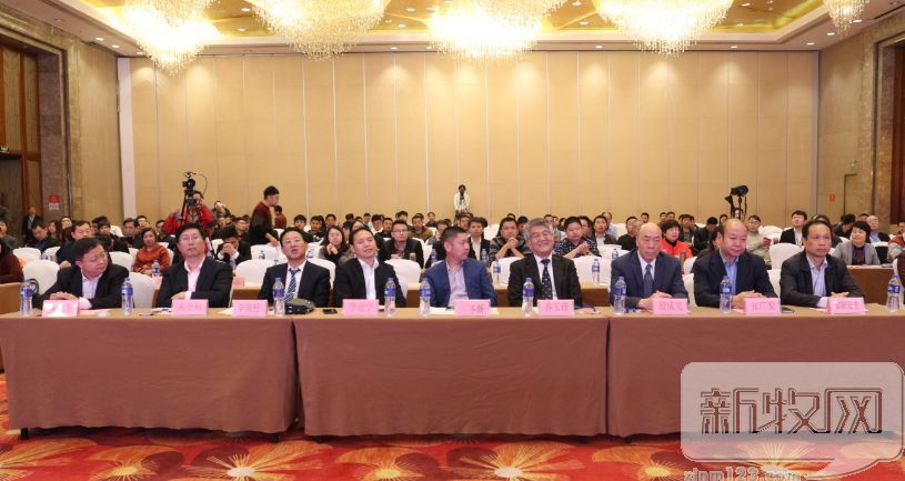 李建宁双胞胎,李建宁双胞胎饲料