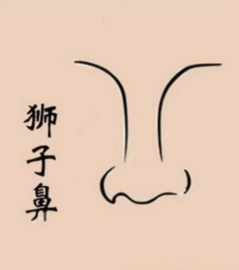 从鼻子面相气色看运气诀窍,面相神秘力量