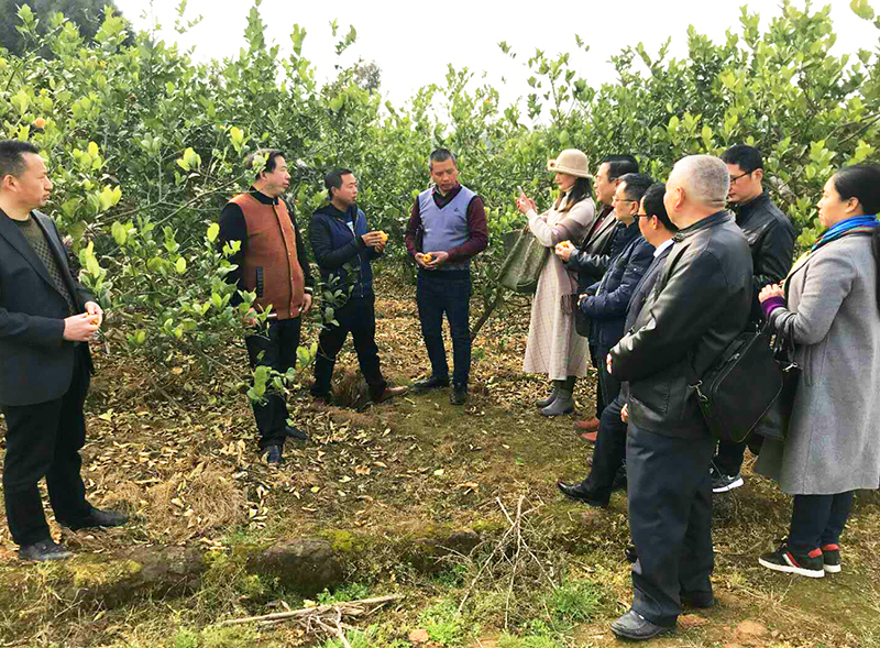 四川南充高坪佛门乡,四川高坪区佛门乡