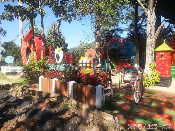 泰国自由行攻略曼谷到清迈,泰国自由行旅游之曼谷