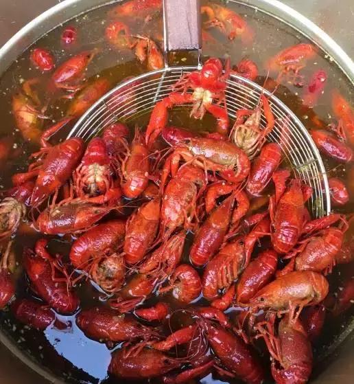 第一批吃小龙虾视频,第一个吃小龙虾的人