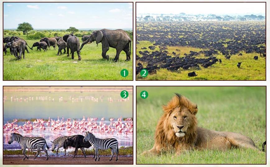 2020年最佳旅行清单自驾,亲子自驾游3-4天攻略最佳线路