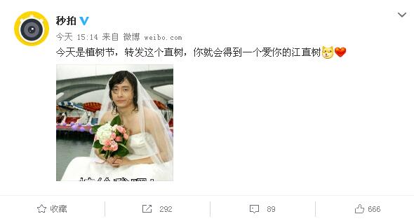 郑元畅江直树又是什么梗,郑元畅江直树喜欢湘琴片段