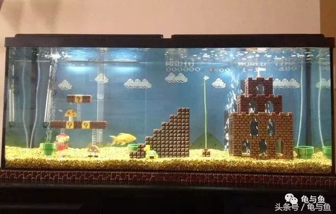 计量单位科普,水族科普视频