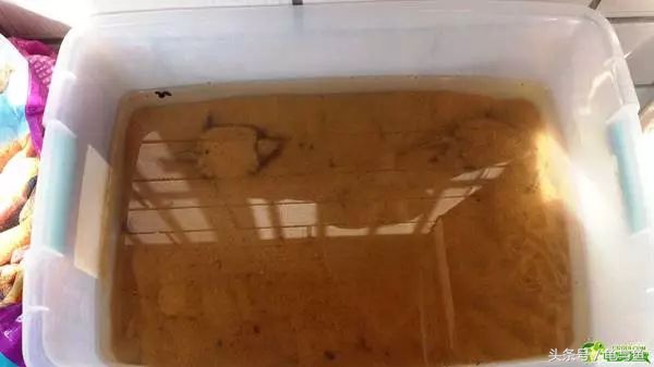 冬眠的正确疗法,冬眠的动物都怎么样越冬