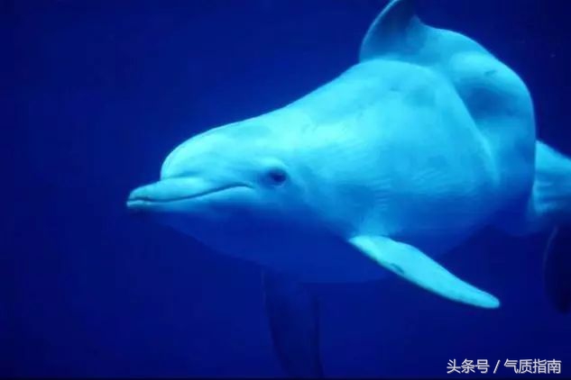 朋友圈里卖低价服装的真相,朋友圈代购真实案例