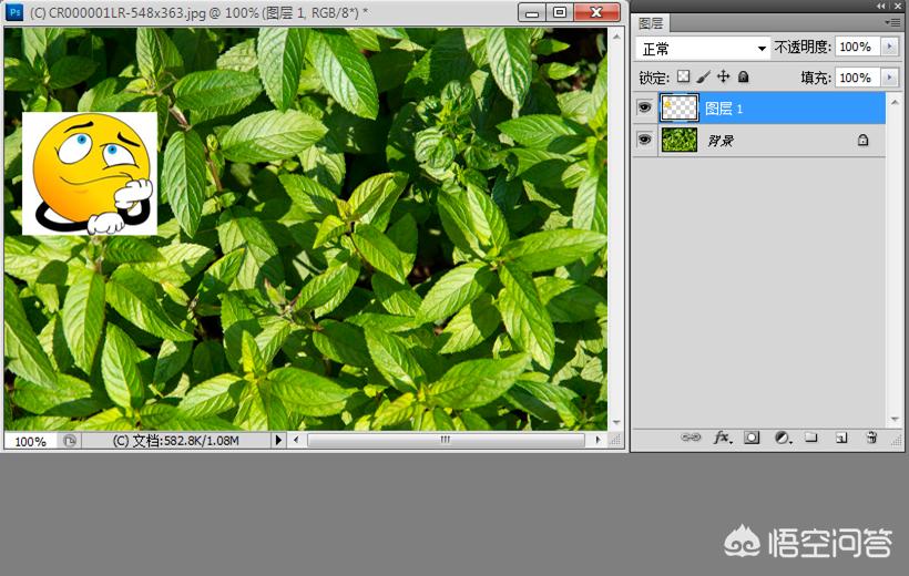 ps中怎么把复制的图层显示出来,ps在同一个图层里面复制多边形