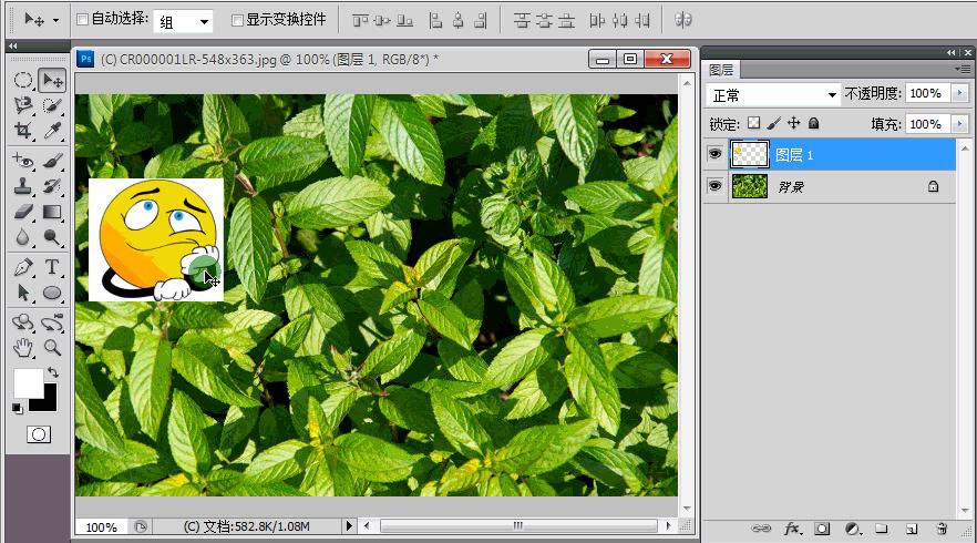 ps中怎么把复制的图层显示出来,ps在同一个图层里面复制多边形