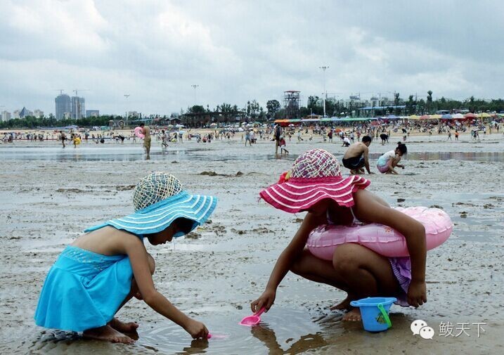 鲅鱼圈旅游攻略必去景点,鲅鱼圈旅游攻略最佳景点