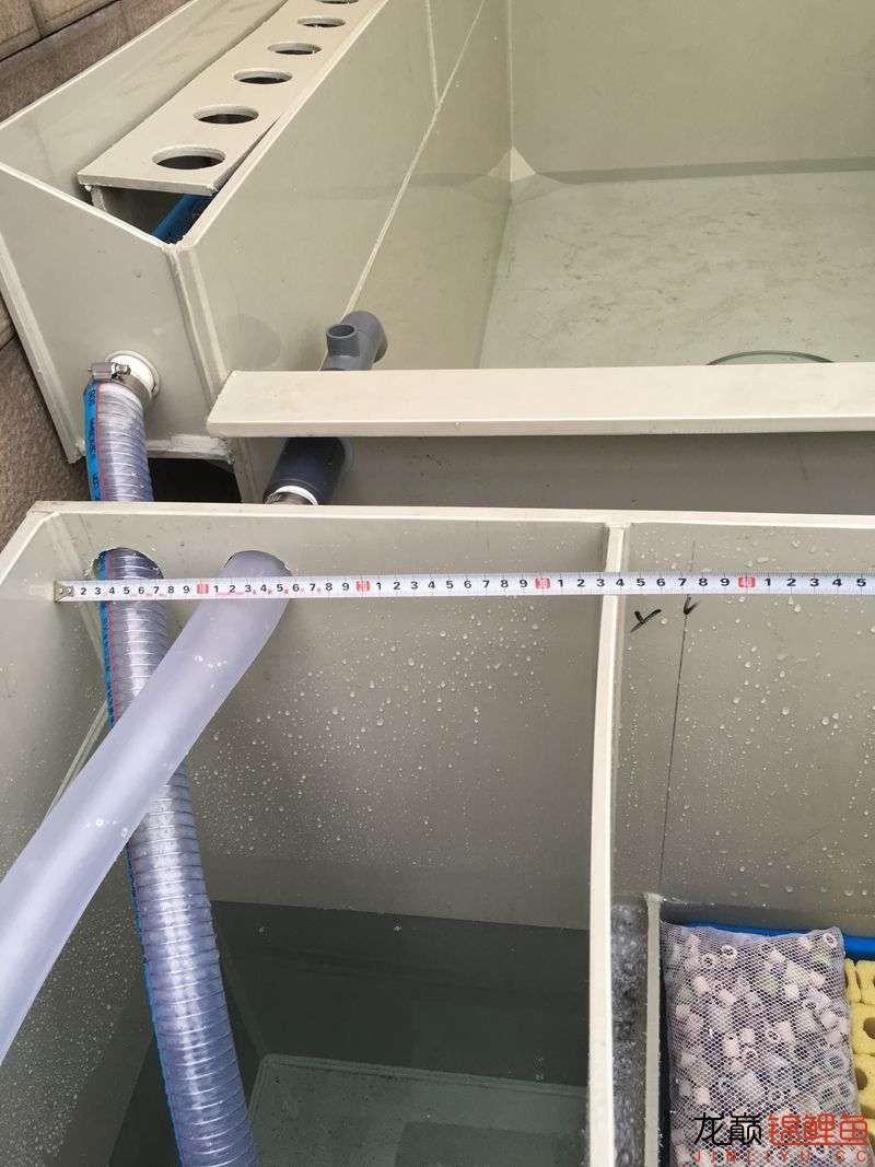 pp塑料锦鲤池,pp板材焊锦鲤池