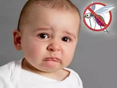 夏天到了，苏州人当心这些小虫，有人进了重症监护室，有人丧了命！