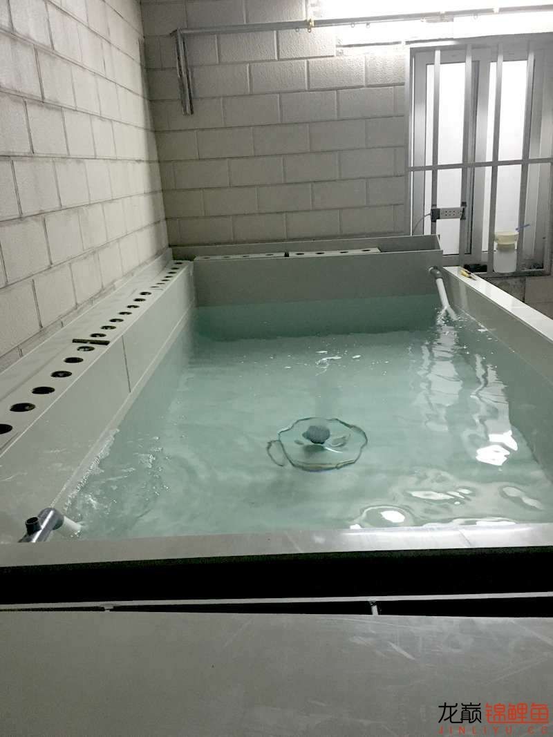 大型pp塑料锦鲤池,超大pp塑料锦鲤池