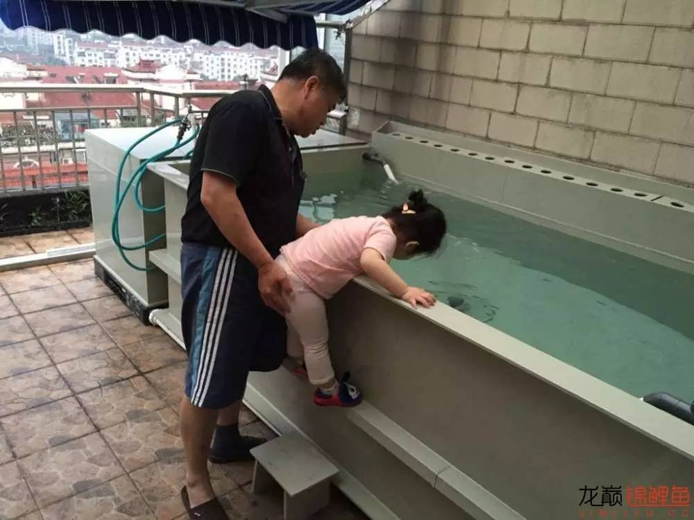 pp塑料锦鲤池,pp板材焊锦鲤池