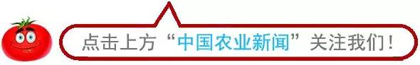 致富5秒卖4万土鸡蛋直播卖货是秀还是未来？