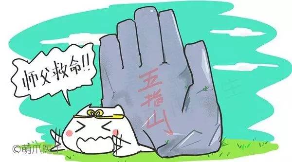 幼犬主要疾病有哪些如何治疗,幼犬出现什么情况说明生病了