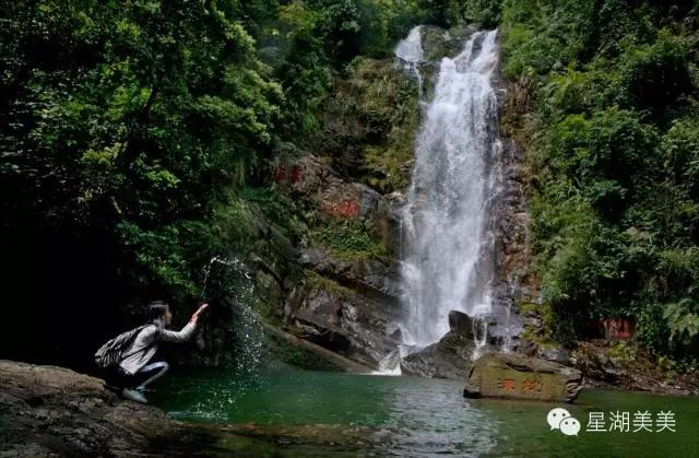 肇庆鼎湖山林,肇庆鼎湖山全景图