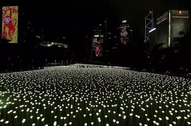 再过6天，一大波大片、音乐节、演唱会来袭！武汉人请守住你的钱