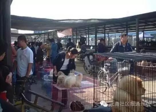 走进文化济宁,走进文化景区