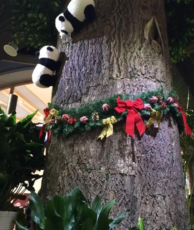 西安还藏着那么多文艺咖啡店你去过么？