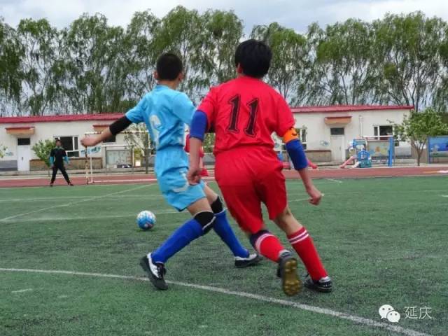 延庆区第十九届校园足球联赛,延庆区2024足球赛高中