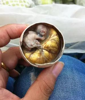 这些“恶心”的福建美味!恐怕顶级的福建吃货也难以吃到了……