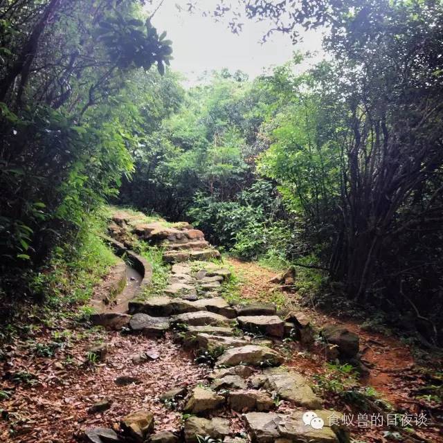 旅行自拍文艺范,假期旅游小清新治愈系