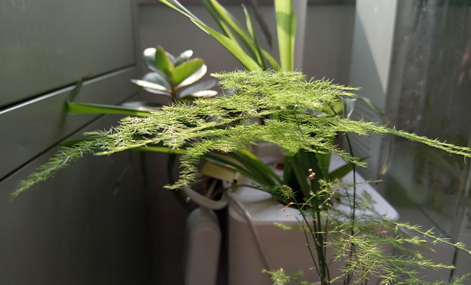 乐2发布会完整版,乐2截图大全