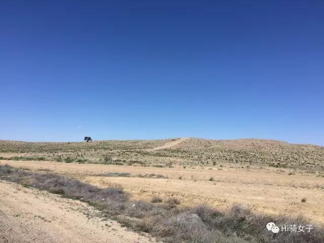 Hi骑女子(7)流着鼻血碾过美国绝美的“母亲之路”66号公路