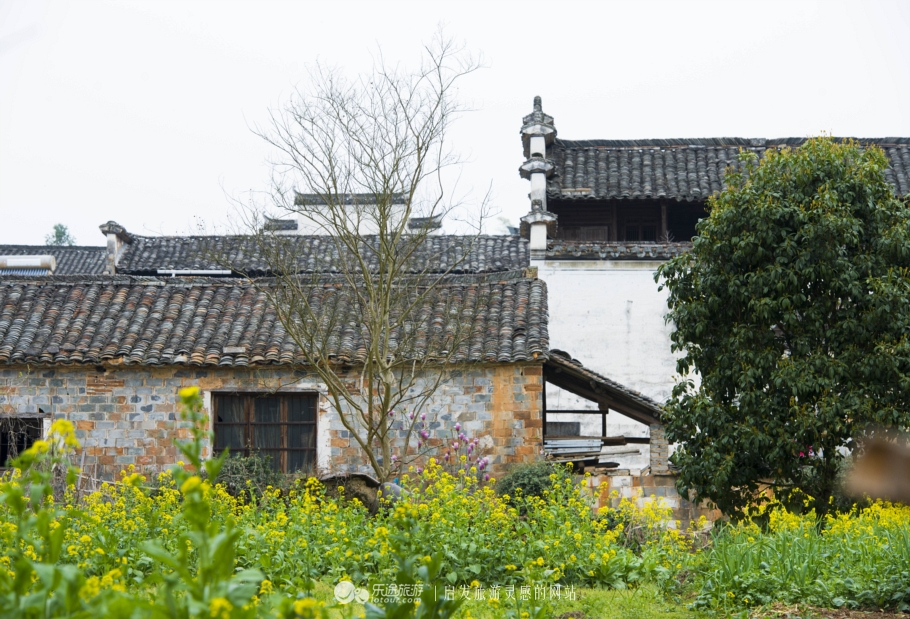 我心中的那个梦想,我心中的那个梦作文