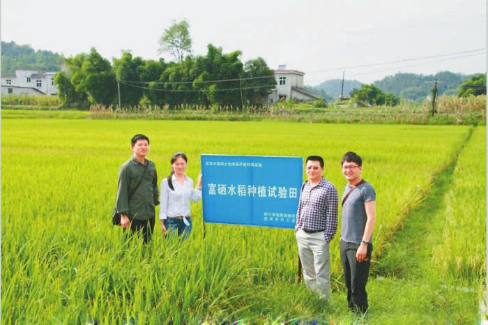 为化工行业服务,为工业发展献计献策