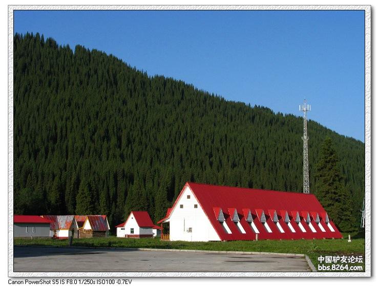 梦里花开——*疆新**，又一次的心动