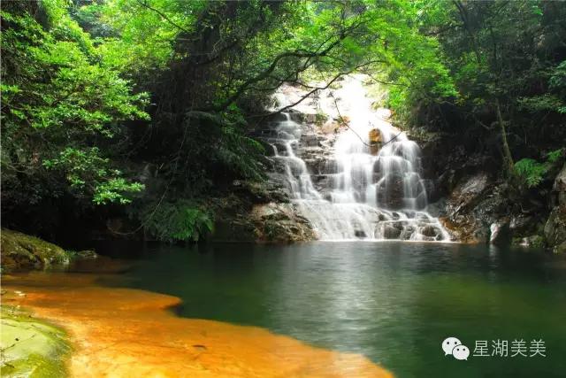 肇庆鼎湖山林,肇庆鼎湖山全景图