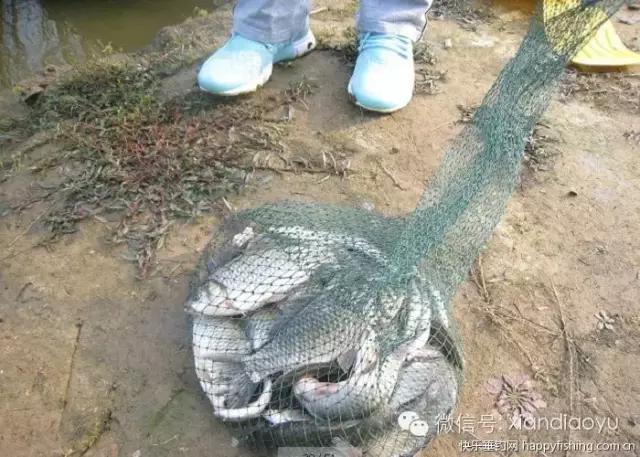 西安灞河钓鱼钓点,灞河路亚白条的钓点