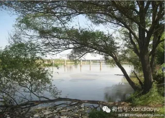 西安灞河钓鱼钓点,灞河路亚白条的钓点