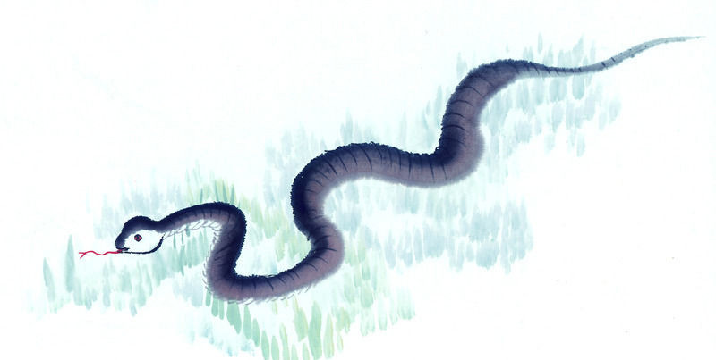 家里发现有蛇是什么预兆,家里发现蛇皮怎么办