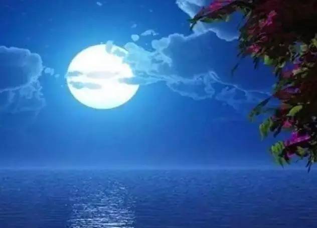 山有木兮木有枝什么意思,山有木兮心悦君兮君不知抖音版