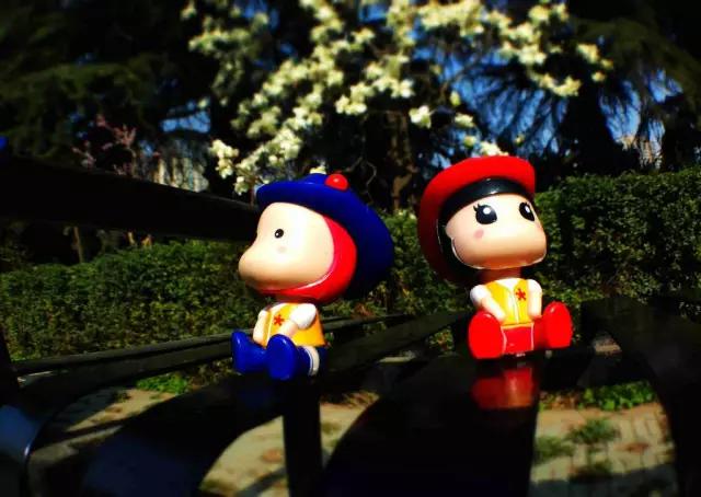 西安爱情故事全部,摄影我的青春岁月