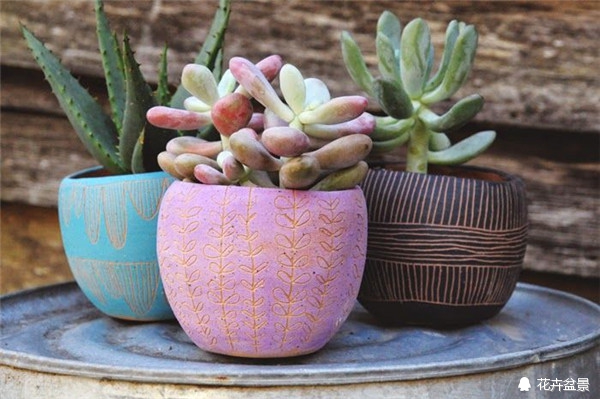 家里阳台养花怎么处理,夏季养花施肥有臭味怎样消除