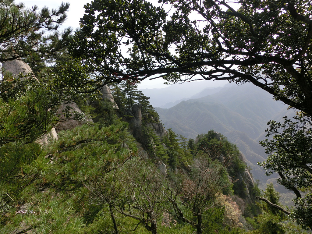 神鸡鸣瑞鸡峰插云——宝鸡鸡峰山景区