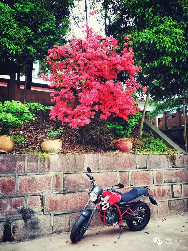 摩托之家阿普利亚rs660,摩托家