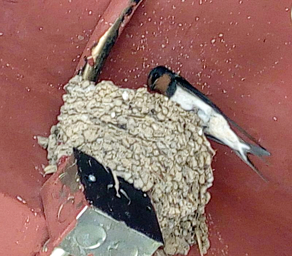 长假远行,假期小旅行